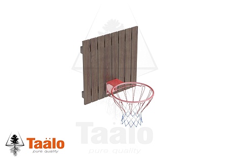 Серия TS модель 4 - кольцо баскетбольное со щитом (для частных владений)