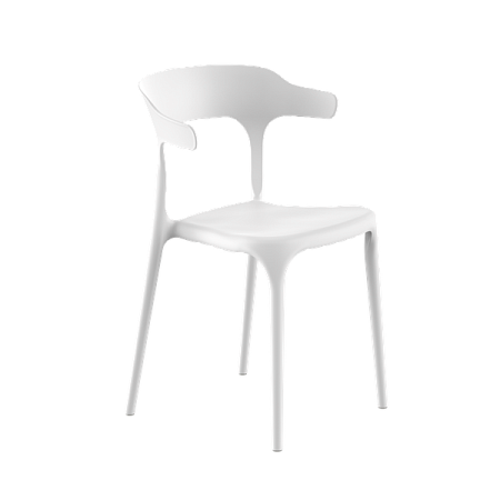  Stepp  ENOVA 480440780 (, )